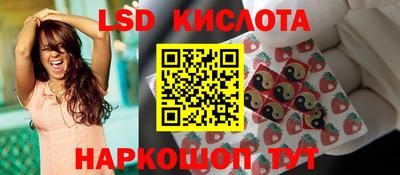 PSILOCYBIN Новокубанск