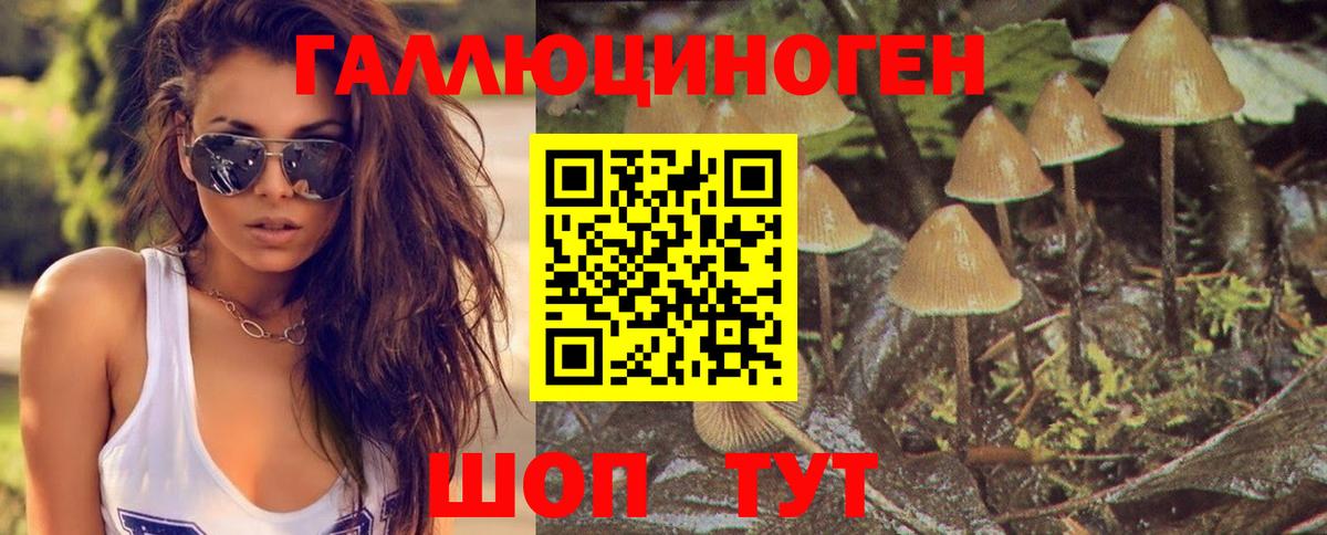 Псилоцибиновые грибы прущие грибы  Вход с VPN  Удомля 