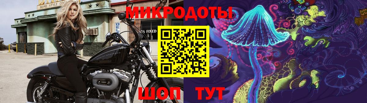 Псилоцибиновые грибы Psilocybine cubensis Удомля